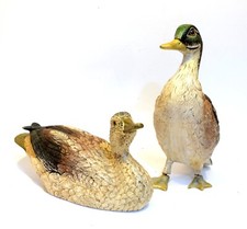 Couple canards lancel plus - canards,