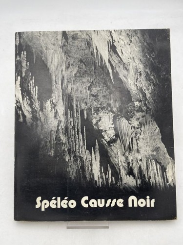 Spéléo causse noir secteur - spéléo,