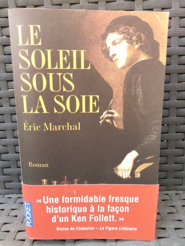 Livre roman soleil sous la - livre,