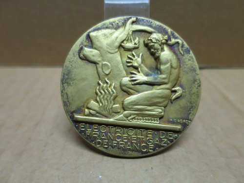 Dropsy médaille bronze art - médaille, en