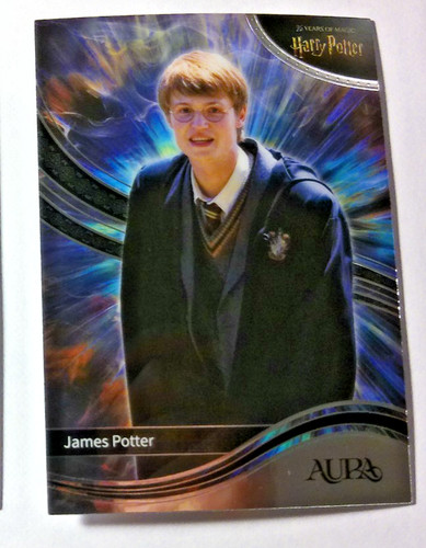 Harry potter kakawow years - harry,