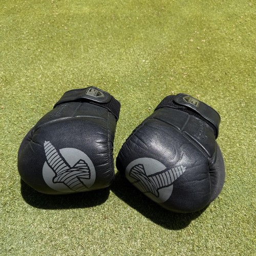 Hayabusa tokushu gloves - hayabusa,