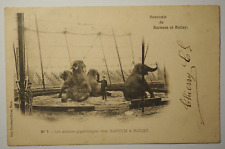 CPA Cirque Eléphants - Les