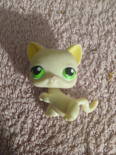 Littlest petshop chat - petshop,