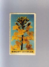 RARE PINS PIN'S .. AGRICULTURE TRACTEUR TRACTOR ENGRAIS SEMENCES COLZA RINGOT~BG