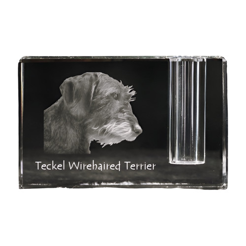 Teckel poil dur porte - teckel, à