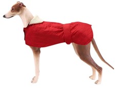 Manteau Chien Hiver Chaud et