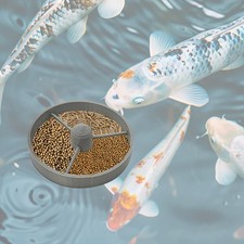 Distributeur De Nourriture