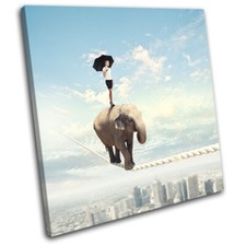 Elephant Tight Rope Surrealism