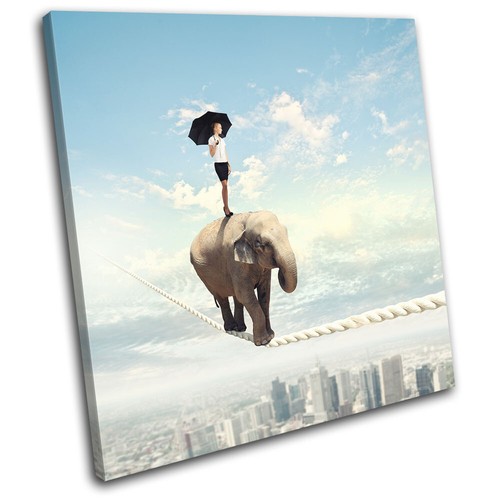Elephant tight rope - rope, surrealism