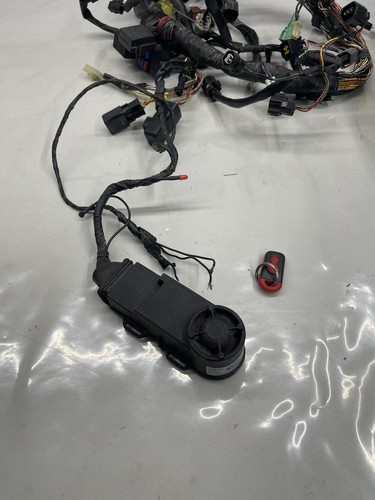 Alarme moto tecnoglobe tg2005 - tecnoglobe,