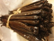 10 gousses de vanille de madagascar Bourbon  18 cm