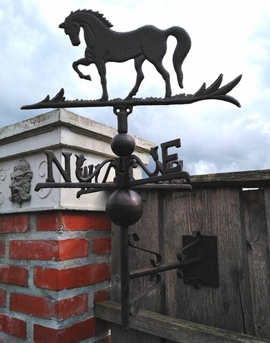 Coq météo anglais cheval - coq,