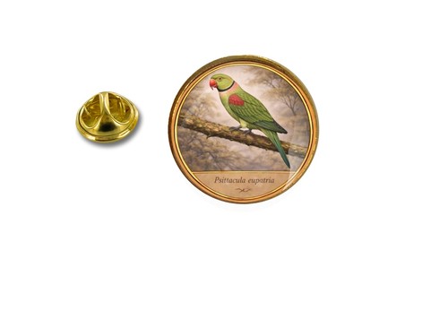 Pins pin badge - broche, oiseau