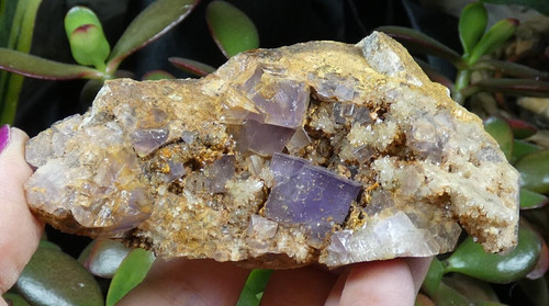 Cubes fluorite mauve - cubes,