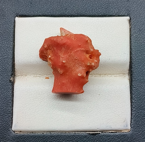 Bijou ancien branche corail