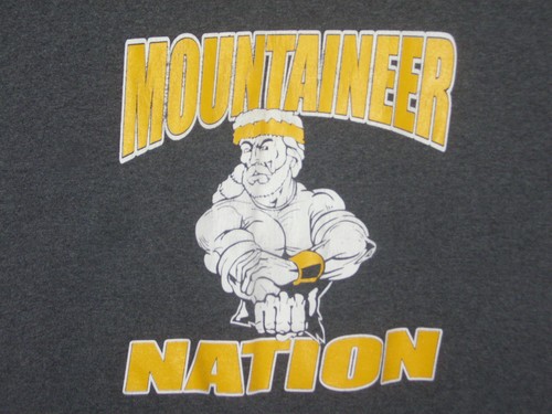 West virginia mountaineers - west,