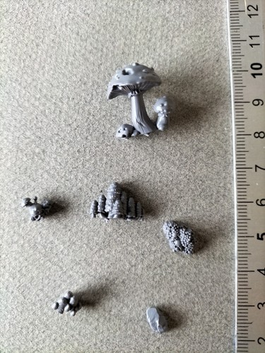Mushroom lot - mushroom,