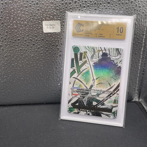 Carte one piece esprit - one,
