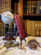 Vingt contes nouveaux (EO)