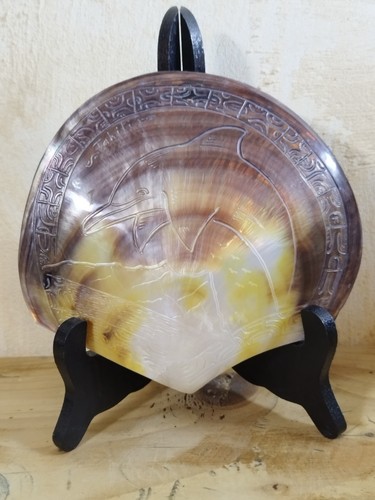 Ancienne grande coquille nacre