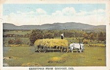 Gosport Indiana Voeux De ~ Blanc Chevaux Tirer Remorque à Foin Wagon ~1920s