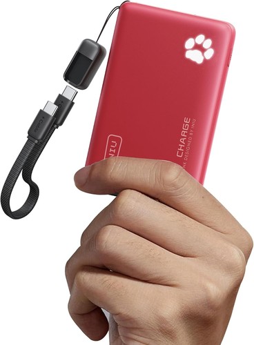 Iniu batterie externe - iniu, pd30