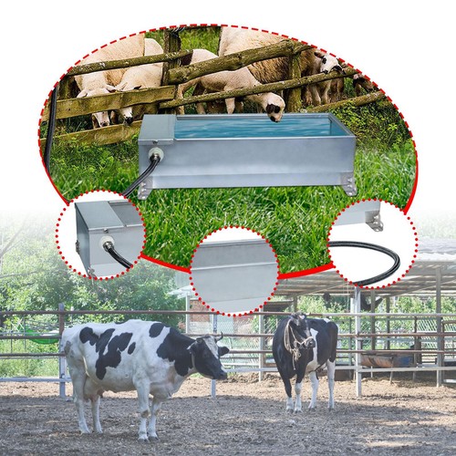 Abreuvoir automatique pour