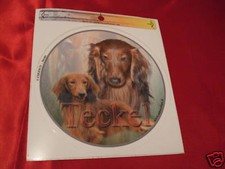 1 autocollant - motif chien  TECKEL  poil long