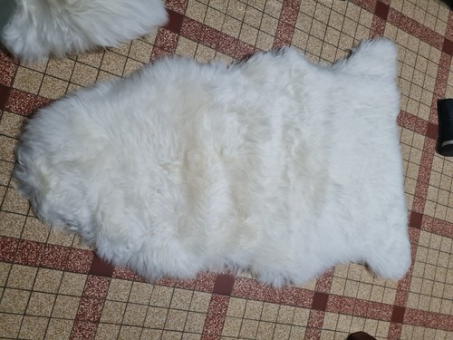 Veritable peau mouton en - peau, de
