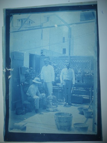 Photo ancienne grand - photo,