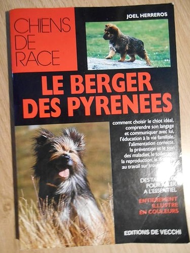 Berger des pyrénées - berger,