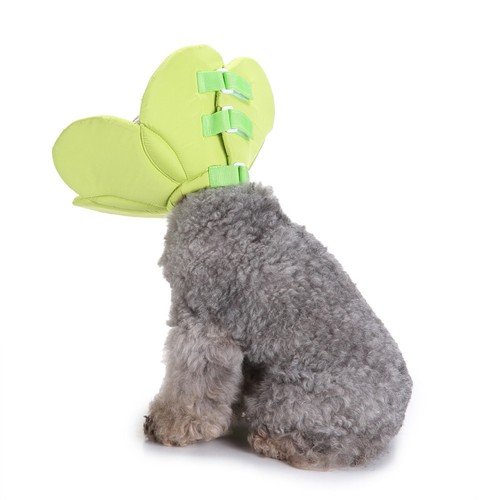 Collerette pour chien - collerette,