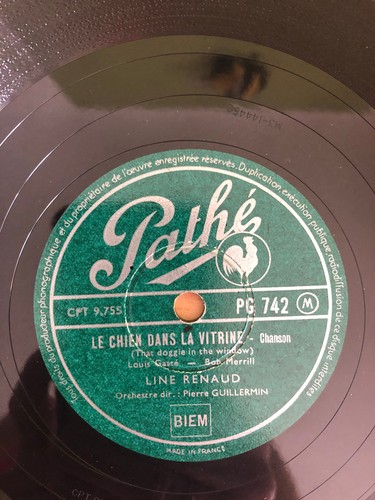 Disque chien dans la - disque,