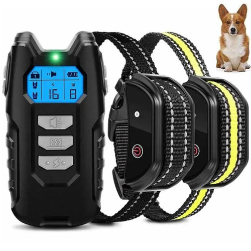Collier dressage chien 1000m - collier,