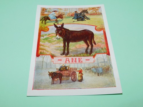 Image ancienne scolaire bon - image,