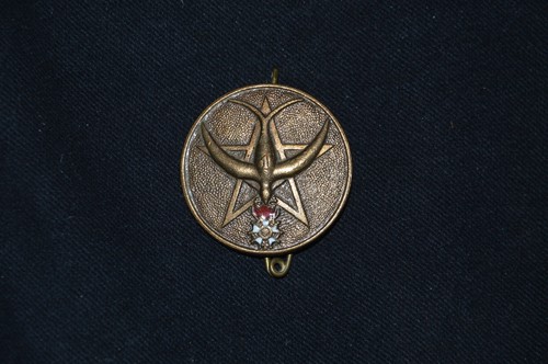 Insigne regiment de - insigne, 1°