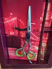 ciseaux de coiffure 5.5