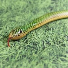 Serpent articulé 70 cm VERT