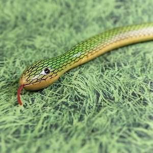 Serpent articulé vert - articulé, 70