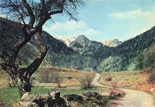 88 LA BRESSE MASSIF DU HOHNECK