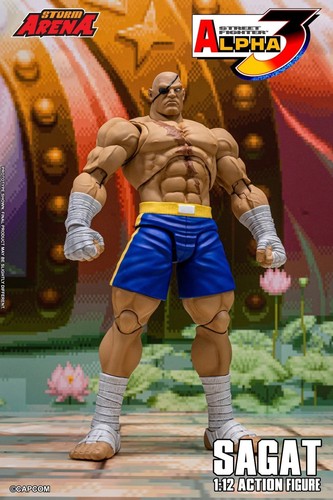 Sagat tiger raid edition - raid,
