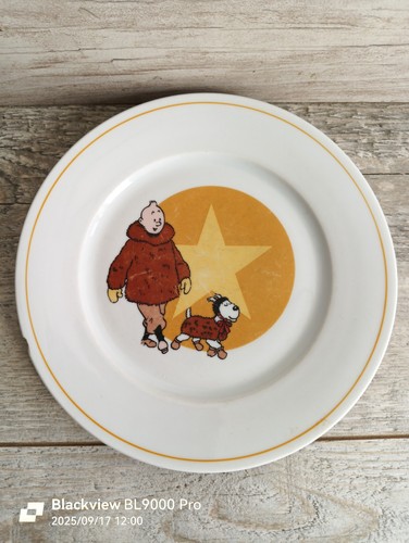 Assiette tintin abîmée - assiette,