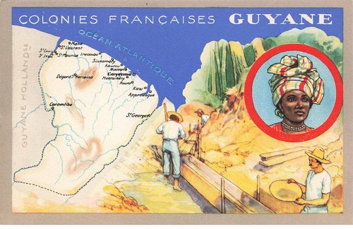 Mikibp15 026 guyane colonies - mikibp15-026-,