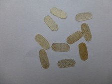 10 X Pont Parchemin /