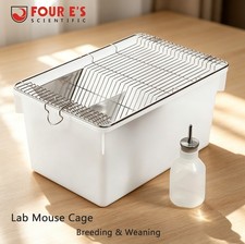 Lab Mouse Cage Rat Rodent