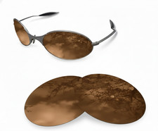 Verres polarisés de