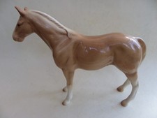 Standing Light Coloured Horse