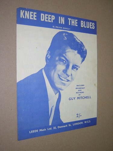 Knee deep the blues guy - blues.,