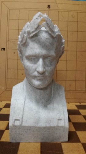 Buste napoleon - buste,